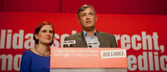 Quelle: die-linke.de